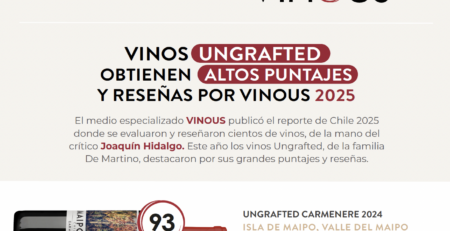 Puntajes VINOUS 2025 Ungrafted